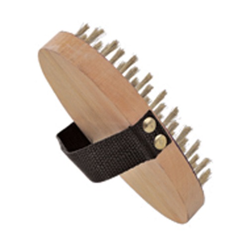 Sanjian Brass Wire Brush For Rust Removal Tasks